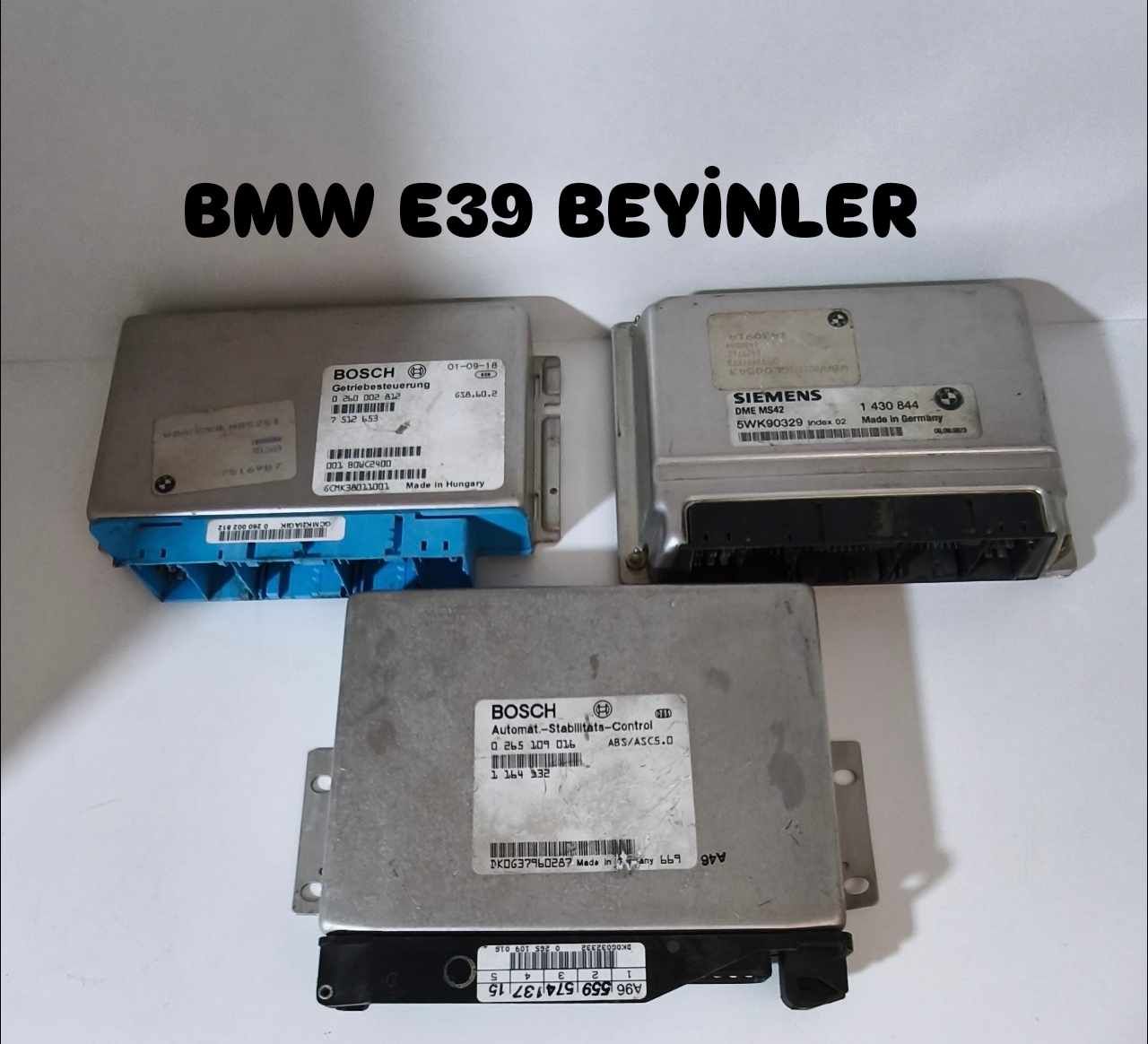 BMW E39 BEYİNLER