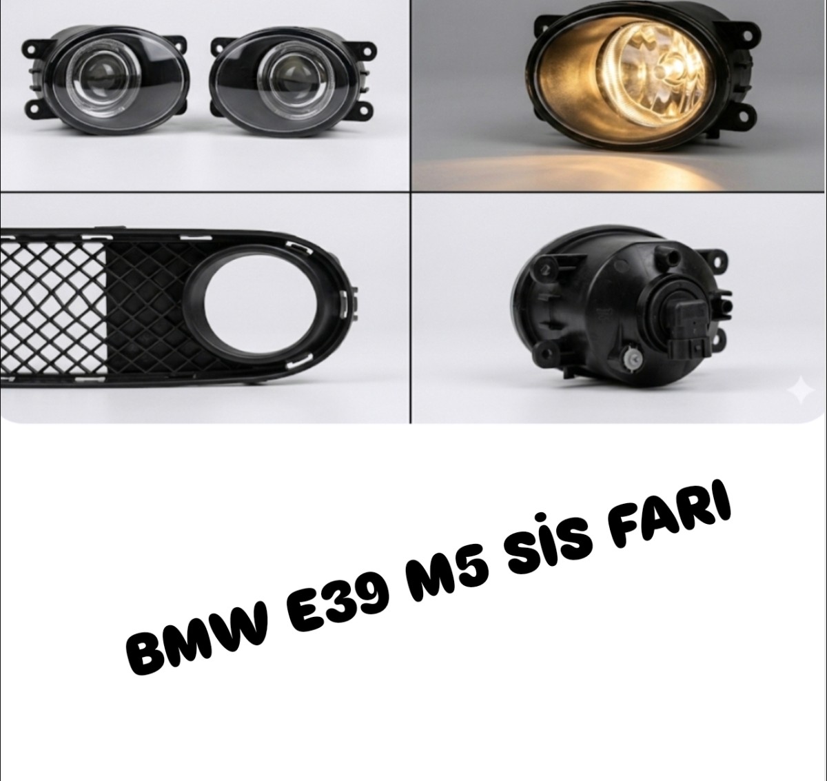 BMW E39 M5 SIS FARI